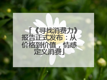 《寻找消费力》报告正式发布：从价格到价值，情感定义消费