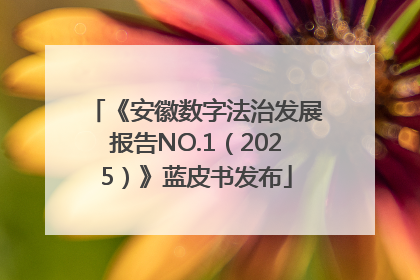 《安徽数字法治发展报告NO.1（2025）》蓝皮书发布