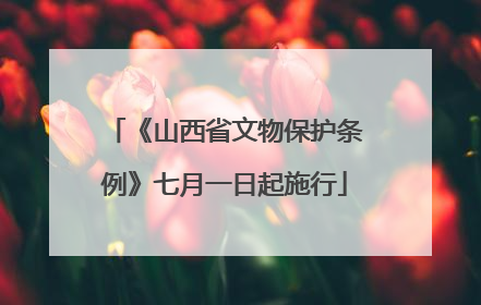 《山西省文物保护条例》七月一日起施行