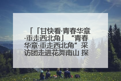 「甘快看·青春华章·重走西北角」“青春华章·重走西北角”采访团走进花舞南山 探寻天水乡村振兴之路