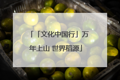 「文化中国行」万年上山 世界稻源