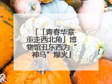 「青春华章·重走西北角」博物馆丑东西为“神马”爆火