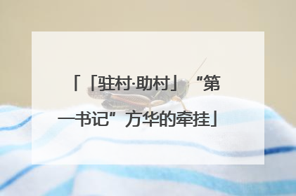 「驻村·助村」“第一书记”方华的牵挂