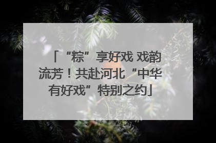 “粽”享好戏 戏韵流芳！共赴河北“中华有好戏”特别之约