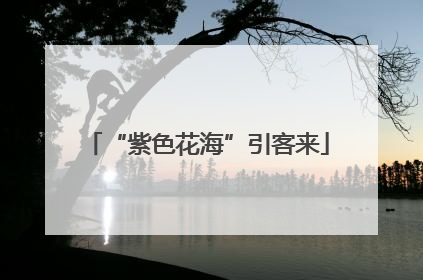 “紫色花海”引客来