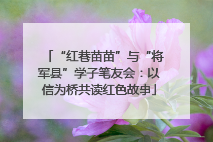 “红巷苗苗”与“将军县”学子笔友会：以信为桥共读红色故事