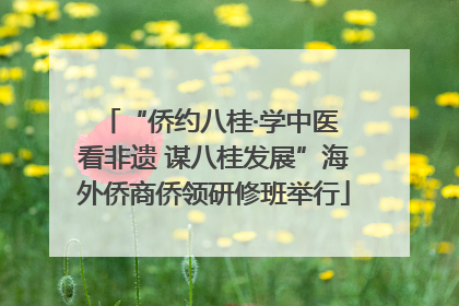 “侨约八桂·学中医 看非遗 谋八桂发展”海外侨商侨领研修班举行