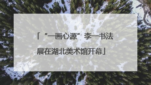 “一画心源”李一书法展在湖北美术馆开幕