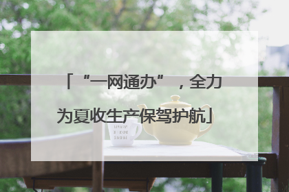 “一网通办”，全力为夏收生产保驾护航