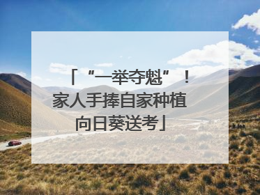 “一举夺魁”！家人手捧自家种植向日葵送考