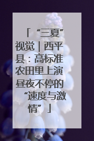 “三夏”视觉｜西平县：高标准农田里上演昼夜不停的“速度与激情”