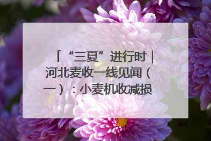 “三夏”进行时｜河北麦收一线见闻（一）：小麦机收减损“竞技” 农机高手麦田“过招”