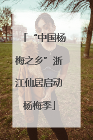 “中国杨梅之乡”浙江仙居启动杨梅季