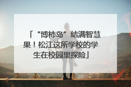 “博柿岛”结满智慧果！松江这所学校的学生在校园里探险