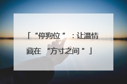 “停狗位 ”：让温情藏在 “方寸之间 ”