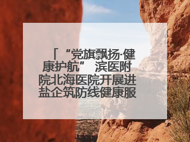 “党旗飘扬·健康护航” 滨医附院北海医院开展进盐企筑防线健康服务行动