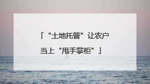 “土地托管”让农户当上“甩手掌柜”