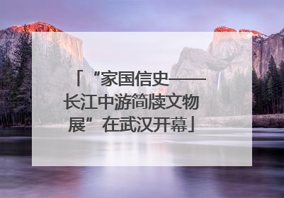 “家国信史——长江中游简牍文物展”在武汉开幕