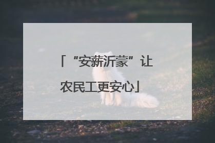 “安薪沂蒙”让农民工更安心