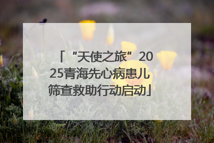 “天使之旅”2025青海先心病患儿筛查救助行动启动