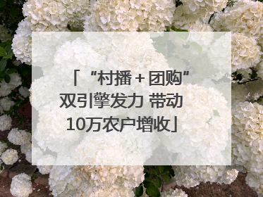 “村播＋团购”双引擎发力 带动10万农户增收
