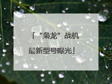“枭龙”战机最新型号曝光