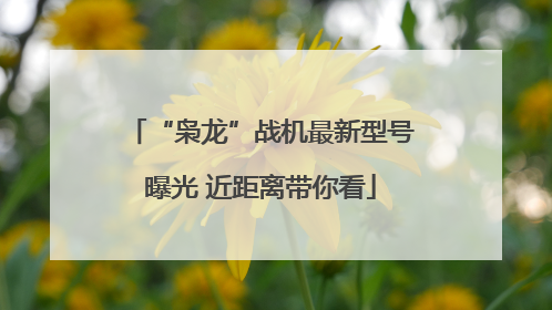 “枭龙”战机最新型号曝光 近距离带你看