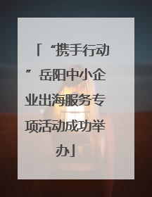 “携手行动”岳阳中小企业出海服务专项活动成功举办