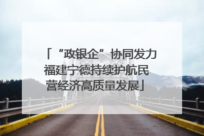 “政银企”协同发力 福建宁德持续护航民营经济高质量发展