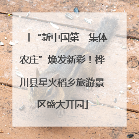 “新中国第一集体农庄”焕发新彩！桦川县星火稻乡旅游景区盛大开园