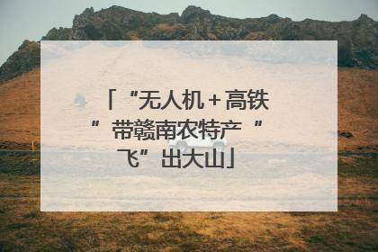 “无人机＋高铁”带赣南农特产“飞”出大山