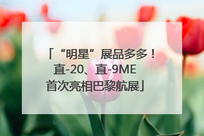 “明星”展品多多！直-20、直-9ME首次亮相巴黎航展