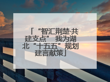 “智汇荆楚·共建支点” 我为湖北“十五五”规划建言献策