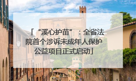 “溪心护苗”：全省法院首个涉诉未成年人保护公益项目正式启动