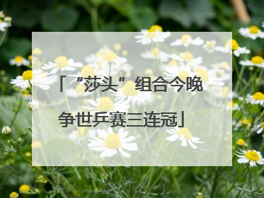 “莎头”组合今晚争世乒赛三连冠