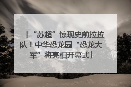 “苏超”惊现史前拉拉队！中华恐龙园“恐龙大军”将亮相开幕式