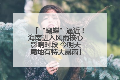 “蝴蝶”逼近！海南进入风雨核心影响时段 今明天局地有特大暴雨