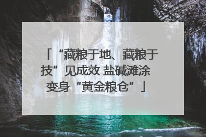 “藏粮于地、藏粮于技”见成效 盐碱滩涂变身“黄金粮仓”