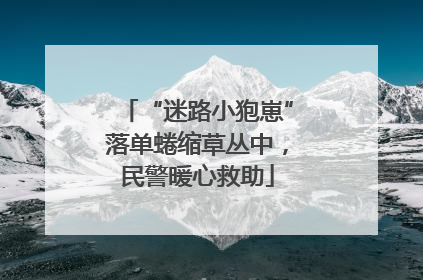 “迷路小狍崽”落单蜷缩草丛中，民警暖心救助