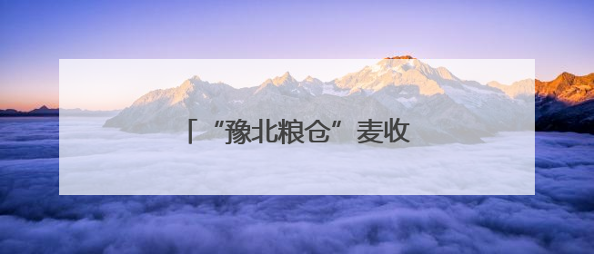 “豫北粮仓”麦收跑出“加速度”