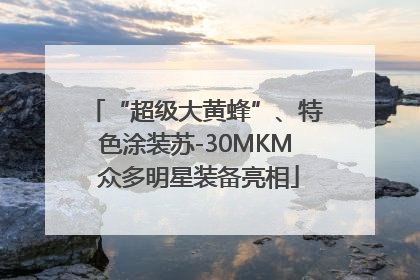 “超级大黄蜂”、特色涂装苏-30MKM 众多明星装备亮相