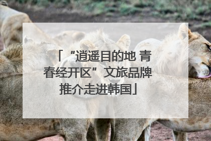 “逍遥目的地 青春经开区”文旅品牌推介走进韩国
