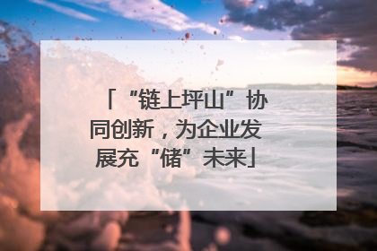 “链上坪山”协同创新，为企业发展充“储”未来