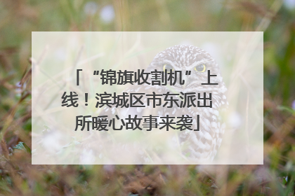 “锦旗收割机”上线！滨城区市东派出所暖心故事来袭