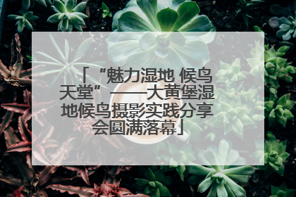 “魅力湿地 候鸟天堂”——大黄堡湿地候鸟摄影实践分享会圆满落幕