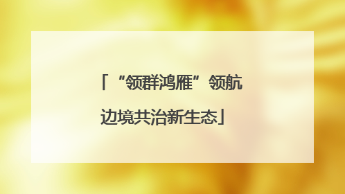 “领群鸿雁”领航边境共治新生态