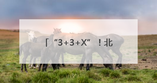 “3+3+X”！北京西城“枫桥式”派出所里的矛盾调解密码