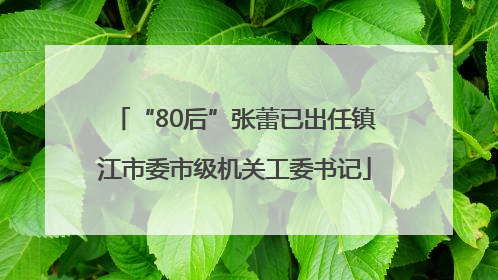 “80后”张蕾已出任镇江市委市级机关工委书记