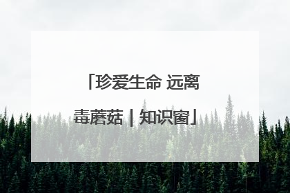 珍爱生命 远离毒蘑菇｜知识窗