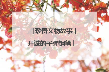 珍贵文物故事丨开诚的子弹钢笔